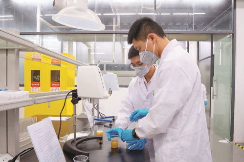 4家代表性省級重點實驗室及新型研發(fā)機構(gòu)聚力創(chuàng)新研發(fā) 賦能惠州做強 2 1 現(xiàn)代產(chǎn)業(yè)集群