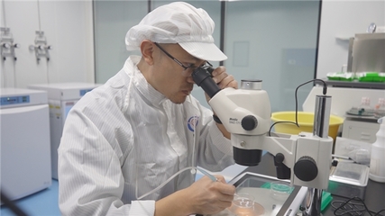 現(xiàn)代牧業(yè)副總裁、技術(shù)總工程師張學:如何用科技重新定義行業(yè)