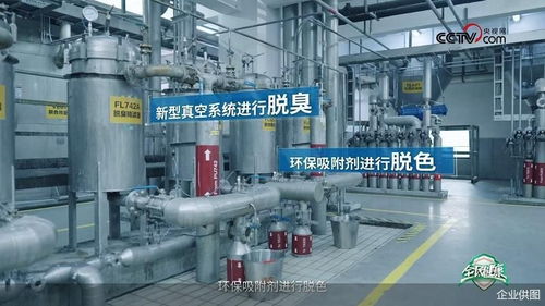 央視網(wǎng)走進(jìn)多力安心工廠,探尋 降低油煙技術(shù) 專(zhuān)利的奧秘