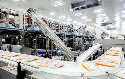 嚴(yán)防嚴(yán)控安全風(fēng)險(xiǎn) 河北部署開(kāi)展冷凍飲品 速凍食品生產(chǎn)企業(yè)專(zhuān)項(xiàng)整治行動(dòng)