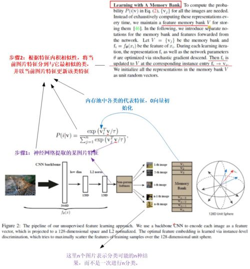 從近年頂會論文看對比學(xué)習(xí)最新研究進展